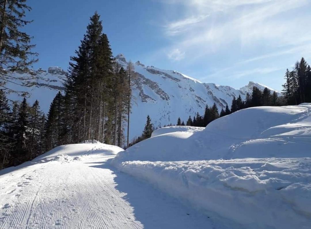 Il Terrazzo Sulle Dolomiti Lejlighed Cibiana Eksteriør billede